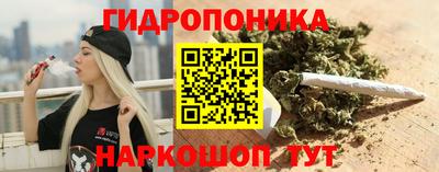 СК Кандалакша