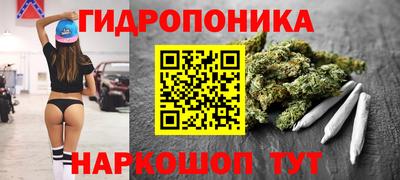 СК Кандалакша