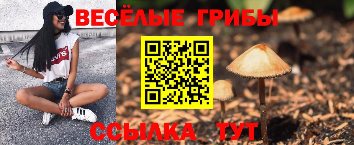 Лениногорск  Галлюциногенные грибы Psilocybe  Вход с VPN 